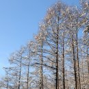 방천2리 이미지