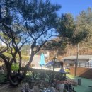 블라썸펜션 | 가평 단체펜션 추천, 가평 펜션 '블라썸펜션' 후기 !!