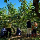 상남면행정복지센터 이미지