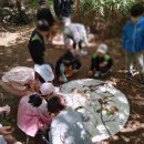 조강농장 이미지