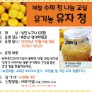 12.5(목)제철 수제청교실(유기농 유자청)_오전10시30분_성인 대상 이미지