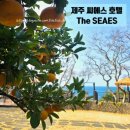 명진씨에스행복식당 | 서귀포 호텔ㅣ🍊제주 씨에스호텔 리조트 The SEAES...제주_로얄스위트 객실부터 전체 식당,카페 솔직 후기