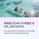 삼척 장호항 유리카누 체험 완벽 가이드: 에메랄드빛 바다에서 즐기는 낭만 데이트