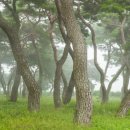 믿음용달 이미지