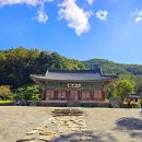 백암느티나무 | [사찰 순례] 아름다운 대웅전 꽃살문과 칡 기둥 전설이 있는 논산 쌍계사 후기(가는길 주차료 입장료)