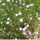 흙집 쉼 이미지