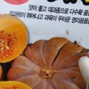 부자딸기농장 네이버블로그