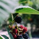 강선달힐링센터 이미지