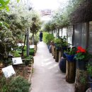 극복 농장 이미지