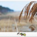 김명화농장 이미지