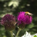 고개너머 이미지