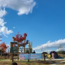 도도리파크(실외) 이미지