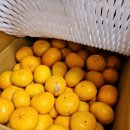 위경화농장 이미지