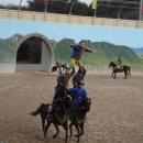 더마파크 이미지