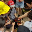 행정농장 이미지