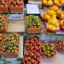 대왕청과 이미지