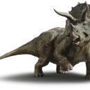 트리케라톱스-2 이미지