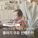 P-5K12 | 돌아기 우유는 어떻게 선택하고 먹일까? A2우유·상하목장 유기농우유 직접 먹여본 후기