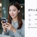 셀러리(Sellery) 티스토리