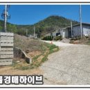 대구고매초등학교 이미지