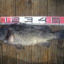 후크선장 이미지