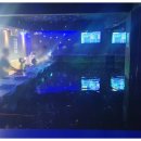 나까보까 실내낚시터 이미지