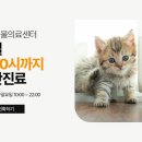 안중동물병원 이미지