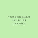 엑스바 이미지