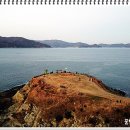 도장포마리나