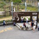 죽변수협회센타 이미지