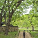 교촌마을 이미지