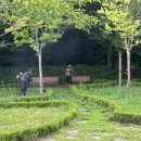 새마을로 이미지