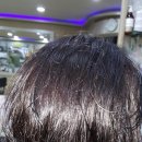 염색나라 이미지