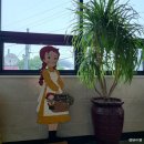 호스텔 폴로니아 이미지