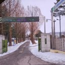 김화여자중학교 이미지