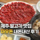 마우돈 | 제주 말고기 여기서 처음 감동함…!!💕 | 성산일출봉 근처 “마우돈” 내돈내산 솔직 후기