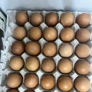 새벽알유통 이미지