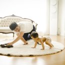 밈스튜디오