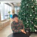 서내비치즈 | 성남 판교 크리스마스 카페 대형트리 + 조용한 분위기 스테드패스트 커피앤웍스