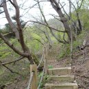 올래민박 이미지