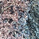 (주)프락시스 이미지