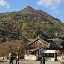 표충사 Daum카페