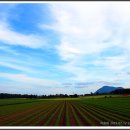 푸른농장2 이미지