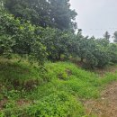 남원읍-69 이미지