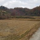 남원 태양광발전소 이미지