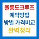경북특수여객 | 울릉도 크루즈 예약 가격 인실별 비교와 할인 혜택 총정리