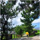 풍경 | 제주 성산일출봉 입장료 관람시간 총정리 직접 올라본 정상 풍경 후기
