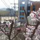 진주여자고등학교 앞 이미지