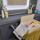 빛나는 강아지 이미지