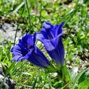 용담초교 이미지